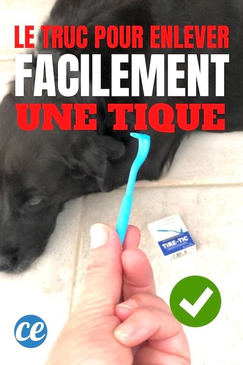 Un tire-tique pour enlever une tique facilement