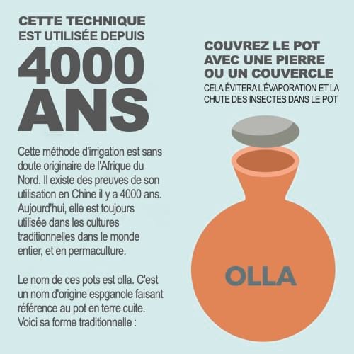 explications sur les origines du olla