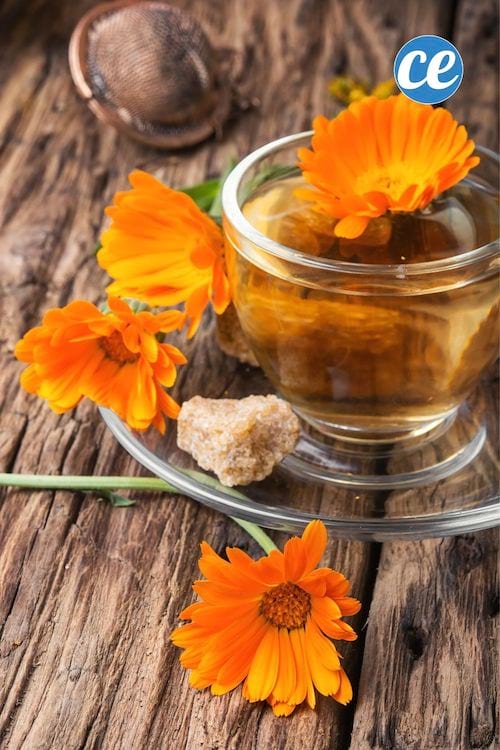 Une tasse de tisane préparée avec des fleurs de calendula