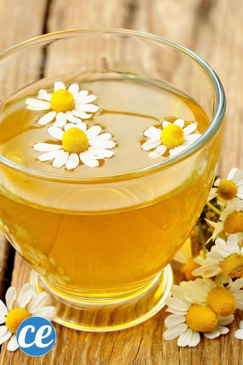 Une infusion de camomille
