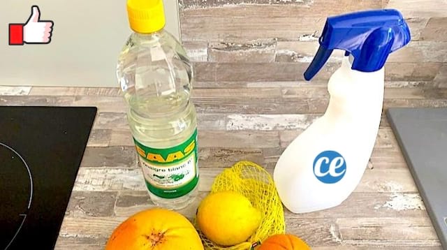 Un vaporisateur avec du nettoyant fait maison à base de vinaigre blanc et d'agrumes