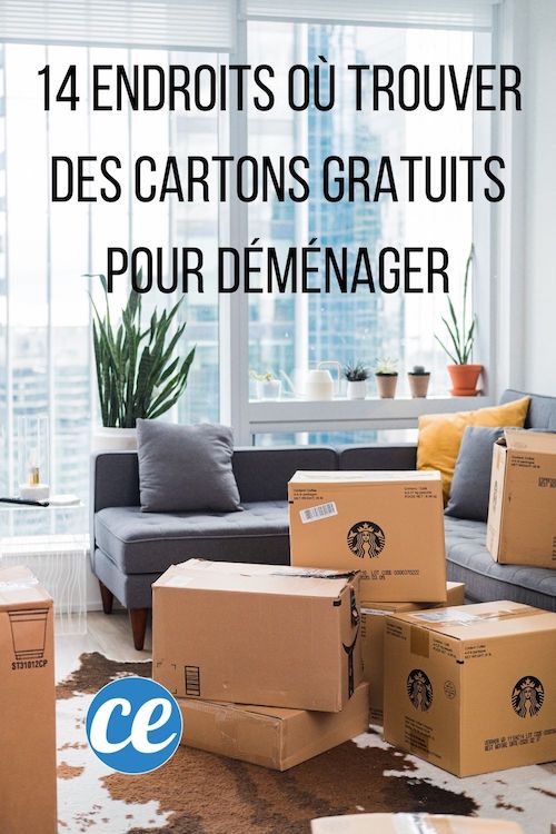 Déménagement 14 Endroits Où Trouver des Cartons Gratuits Près de Chez Vous.