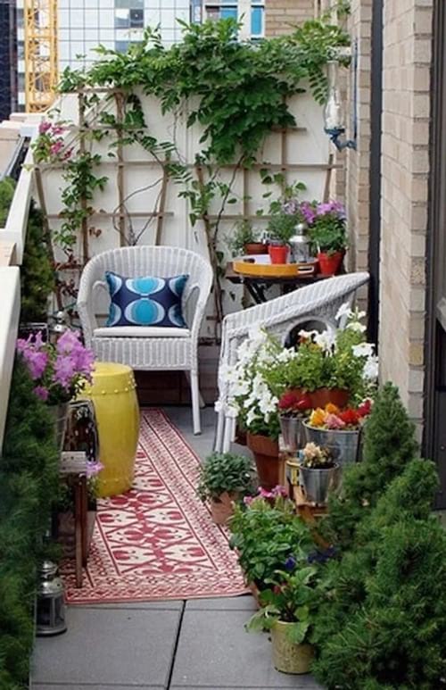 Plantes vertes dans des pots sur une terrasse urbaine