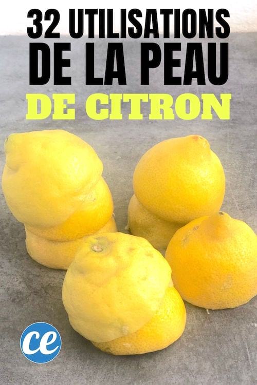 Des peaux de citron