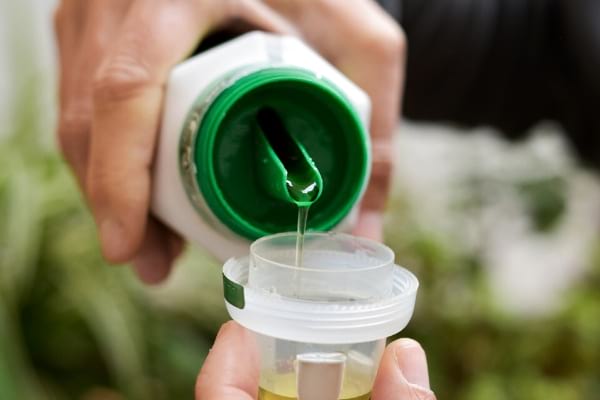 engrais liquide pour plante d'intérieur