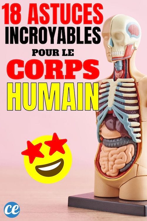 18 trucs et astuces INCROYABLES sur le corps humain qui marchent sur TOUT LE MONDE.
