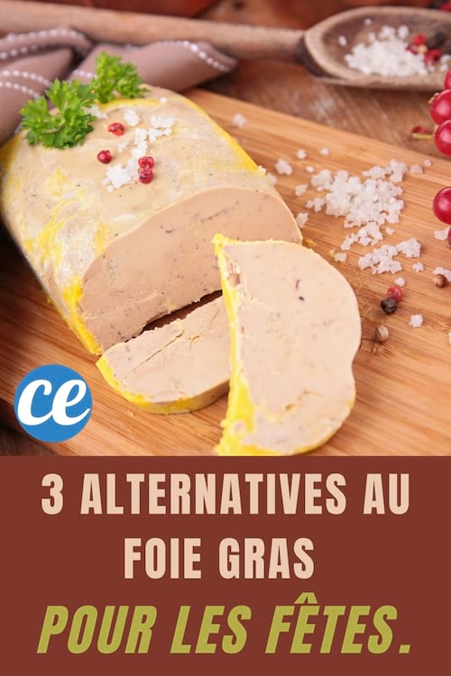 Foie-gras pour les fêtes : 3 Alternatives au Foie Gras pour les Fêtes.