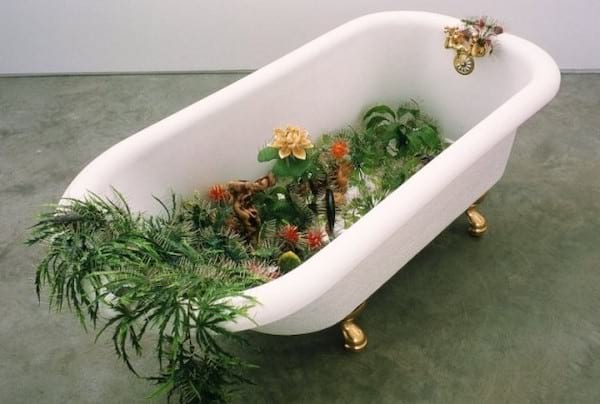 Des plantes mises dans une baignoire pour arroser pendant les vacances
