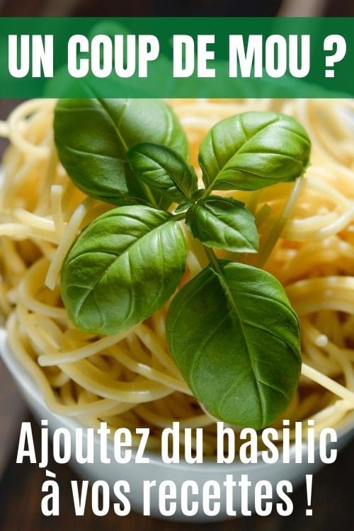 Des feuilles de basilic sur un plat de pâtes.