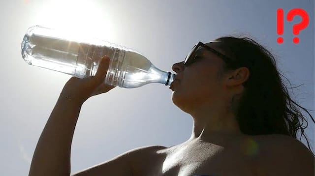 Canicule : Le Vrai / Faux des Bons Gestes à Adopter Pour Se Rafraîchir.