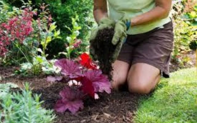 soil mix in the garden to save water