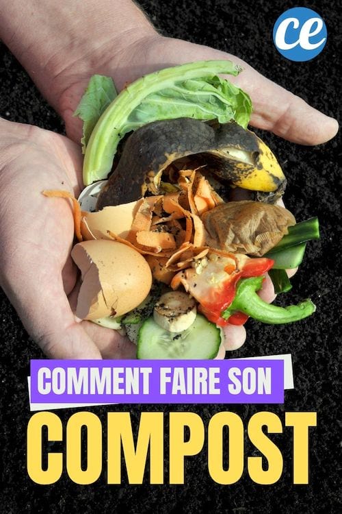 Des mains qui tiennent des matières à mettre au compost.
