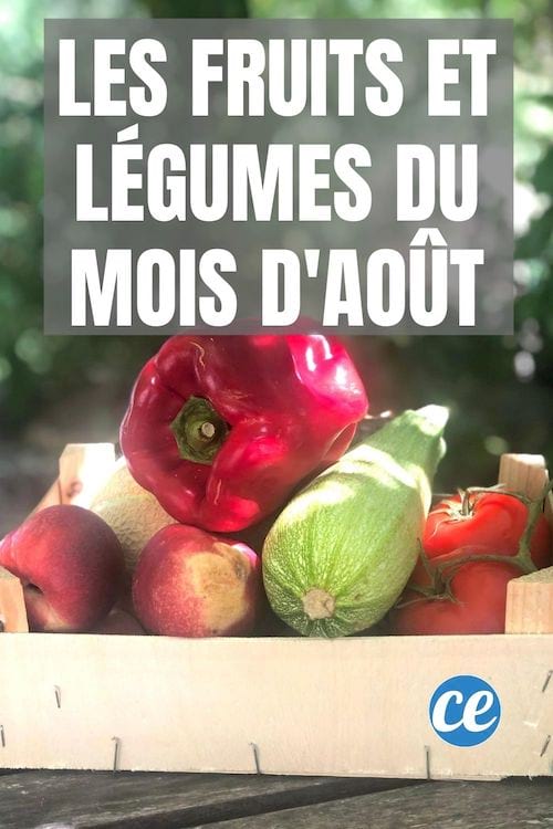 une cagette de fruits et légumes de saison du mois d'août