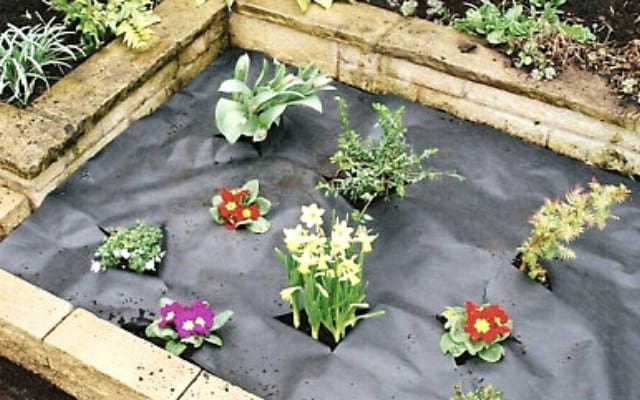 cover the ground in the garden with a black textile