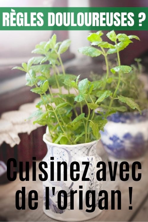 Un bocal avec des feuilles d'origan.