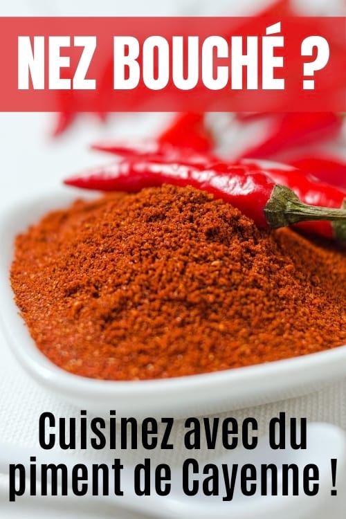 Du piment de Cayenne en poudre dans un ramequin blanc. 