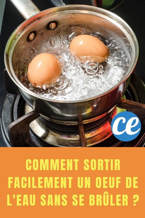 Oeuf dans eau : Comment Sortir Facilement un Oeuf de l'Eau Sans se Brûler ?