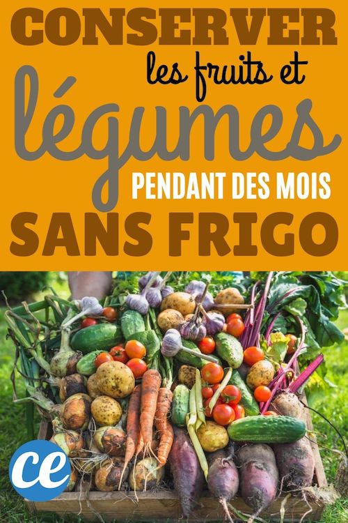 Comment Conserver Ses Fruits & Légumes Pendant des Mois Sans Frigo.