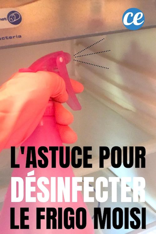 Comment Nettoyer un Frigo Qui a Moisi (SANS Utiliser de Javel)