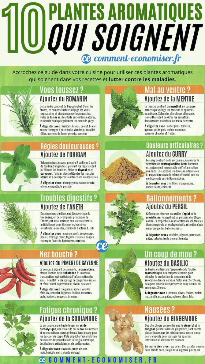10 plantes aromatiques qui soignent : le guide facile.