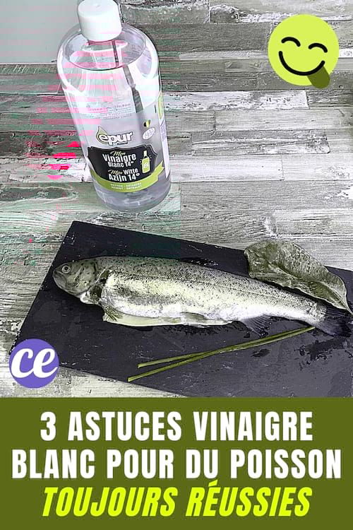 3 Astuces Vinaigre Blanc Pour du Poisson Toujours Réussi.