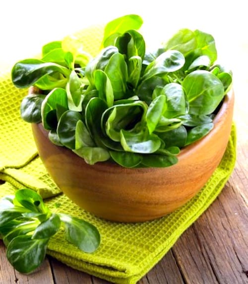 Des feuilles de salade fraîche dans un bol sur un torchon jaune.