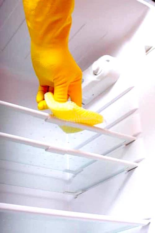 Une main en gant de ménage qui nettoie un réfrigérateur avec de l’eau oxygénée.