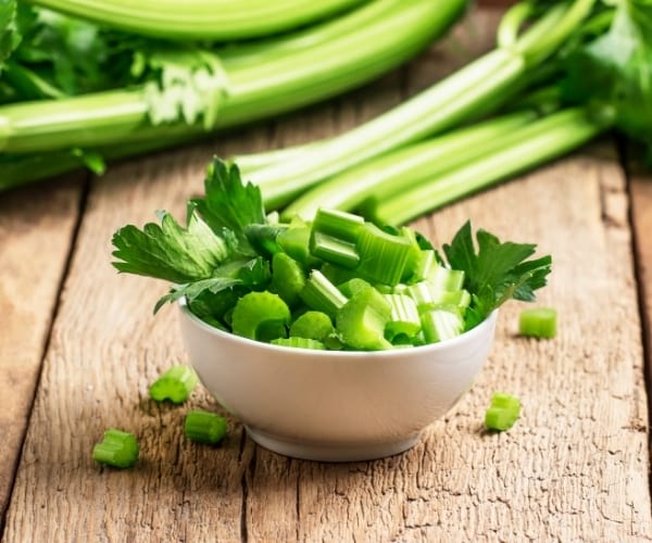 branche de céléri coupée dans un bol