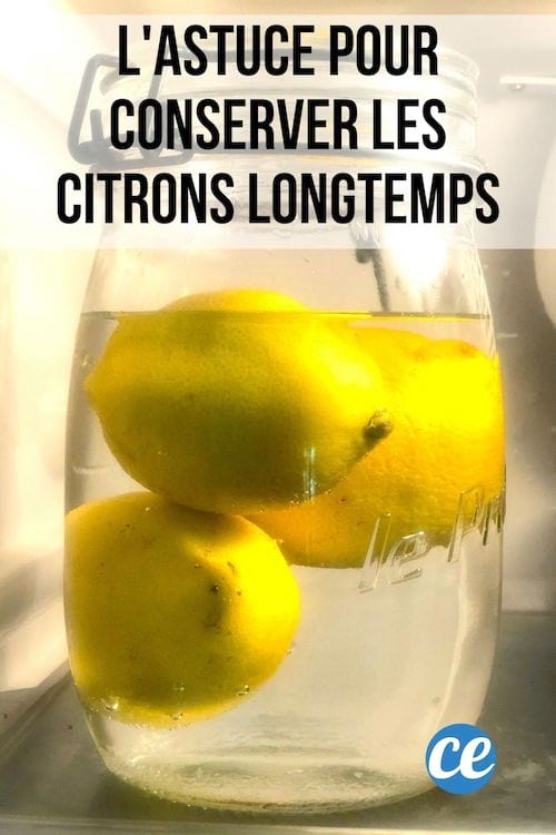 Trois citrons jaunes dans un bocal rempli d'eau dans un frigo pour les conserver longtemps