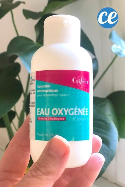 une bouteille d'eau oxygénée tenue devant une plante