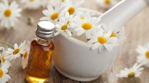 endormir facilement camomille