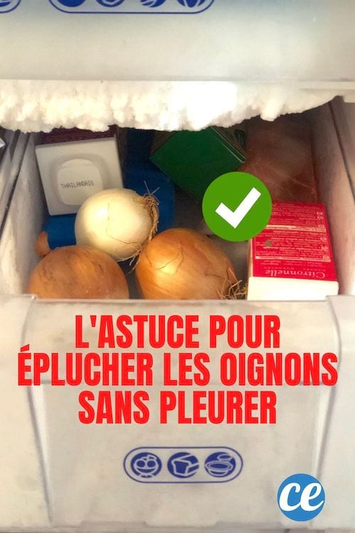 Des oignons mis dans le congélateur pour qu'il ne pique pas quand on les coupe