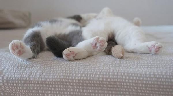 Guide Meilleures Positions Pour Bonne Nui