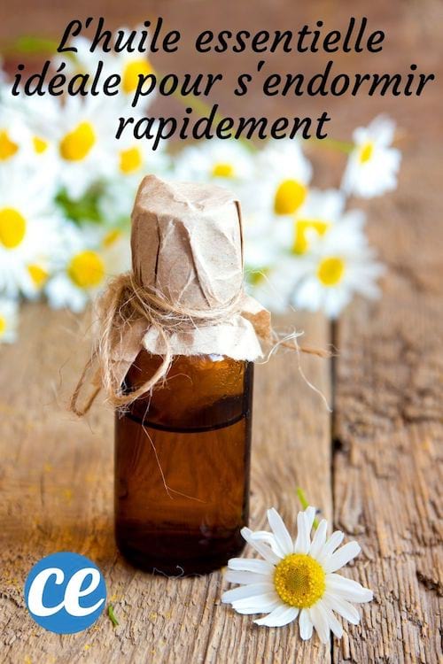 Un flacon d'huile essentielle et des fleurs de camomille