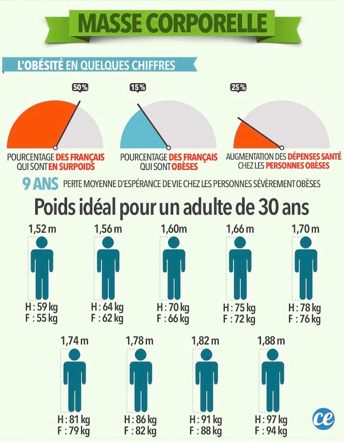 Masse corporelle : Quel est votre poids idéal selon votre taille ?