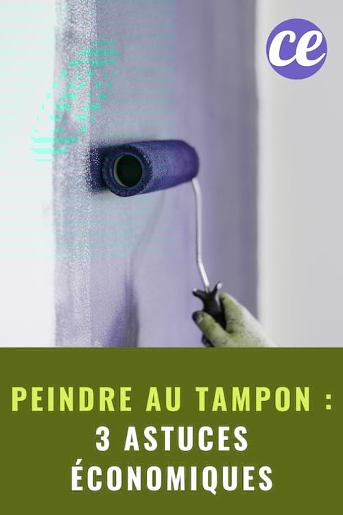Plusieurs astuces peinture : Peindre au Tampon : 3 Astuces Économiques