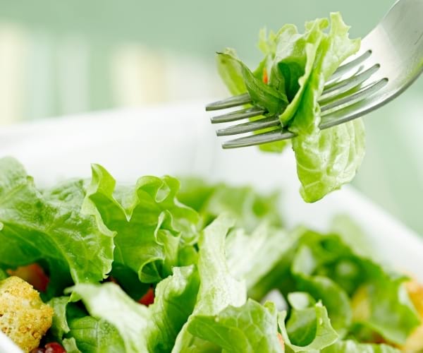 feuille de salade aliment zéro calorie