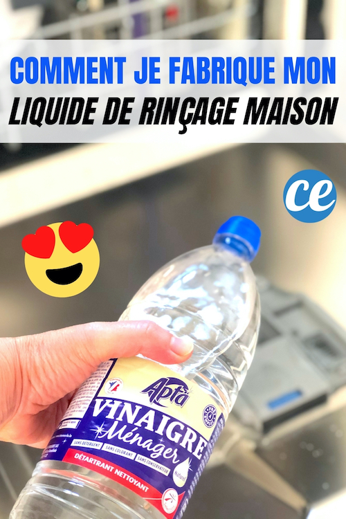 LaveVaisselle Comment Je Fais Mon Liquide de Rinçage & Économise 10 — free download