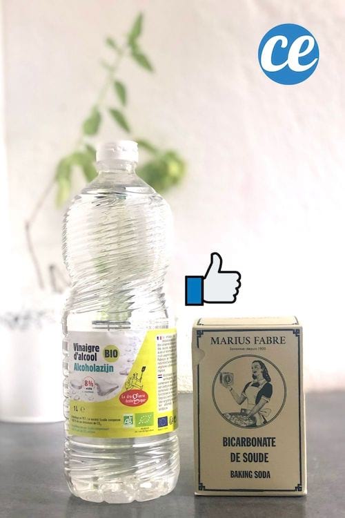 Une vinaigre d'alcool blanc et de bicarbonate de soude