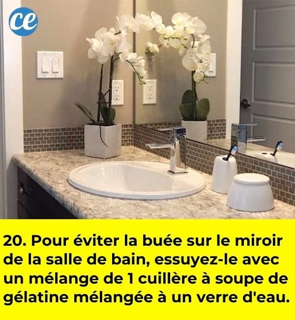 Un miroir dans une salle de bain avec une orchidée en pot.