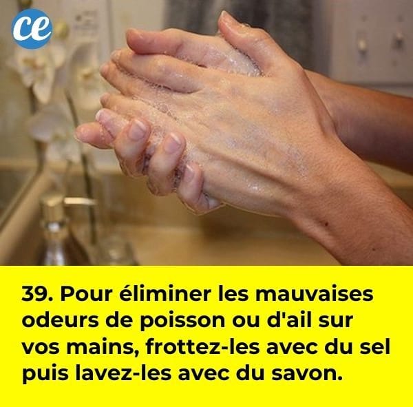 Des mains qui se frottent avec du savon dans une salle de bain.