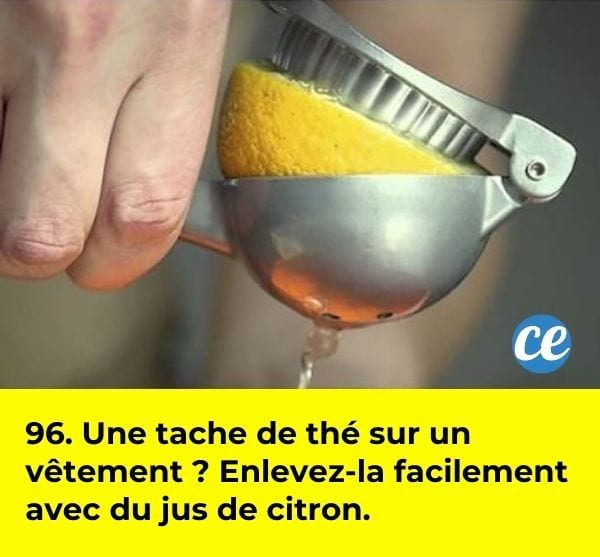 Une main qui presse un demi-citron dans un pressoir en métal.