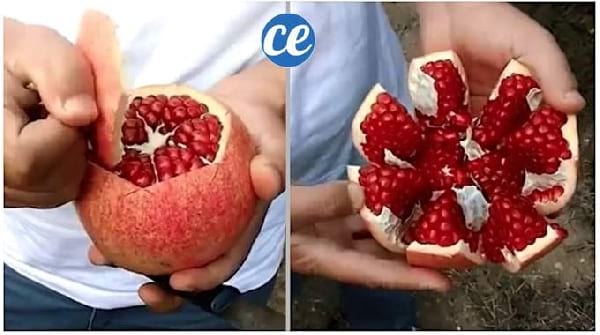 Astuce Pour Éplucher Une Grenade