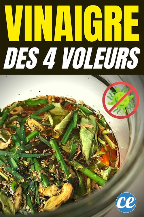 un bocal de vinaigre des quatre voleurs DIY vu du dessus avec des herbes dedans