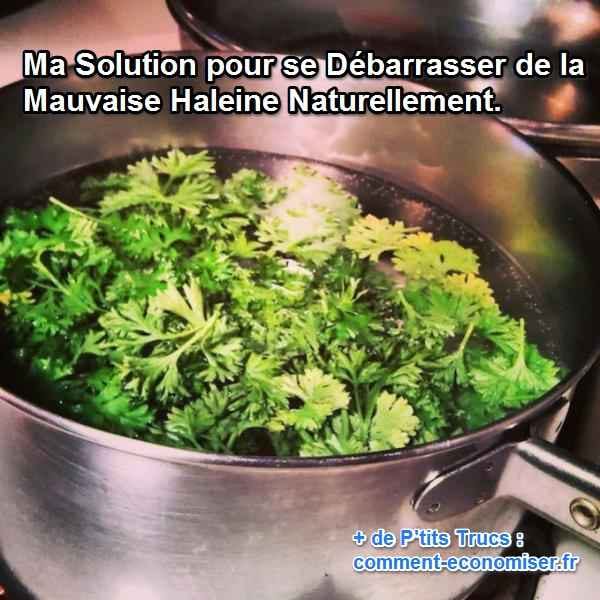 lutter contre mauvaise haleine naturellement avec du persil