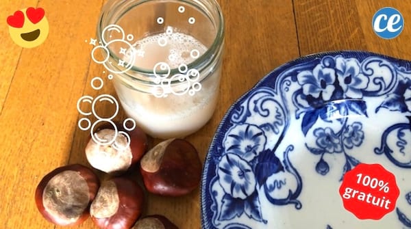 Du liquide vaisselle maison aux marrons dans un bocal fait avec des marrons