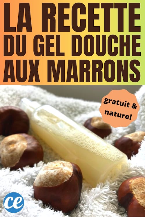 bouteille de gel douche diy aux marrons d'Inde et marrons sur une serviette blanche