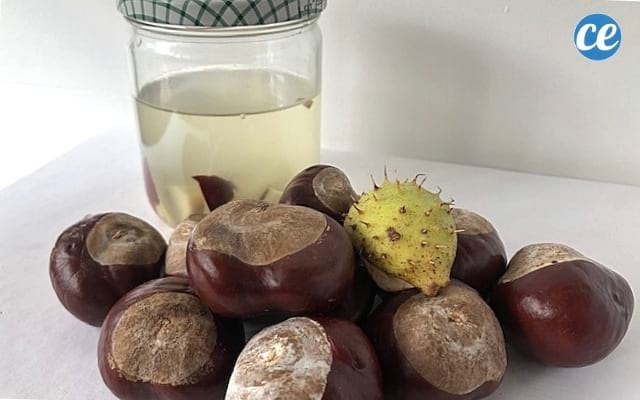marrons d'Inde dans un bocal en verre