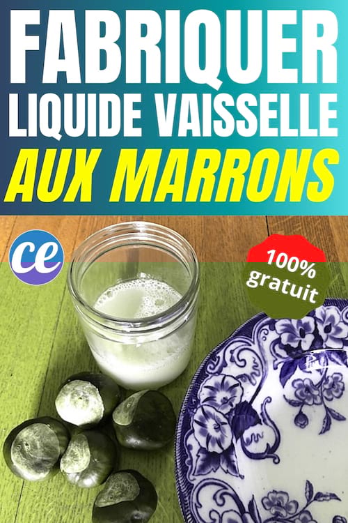Un bocal de liquide vaisselle aux marrons et des assiettes à laver 