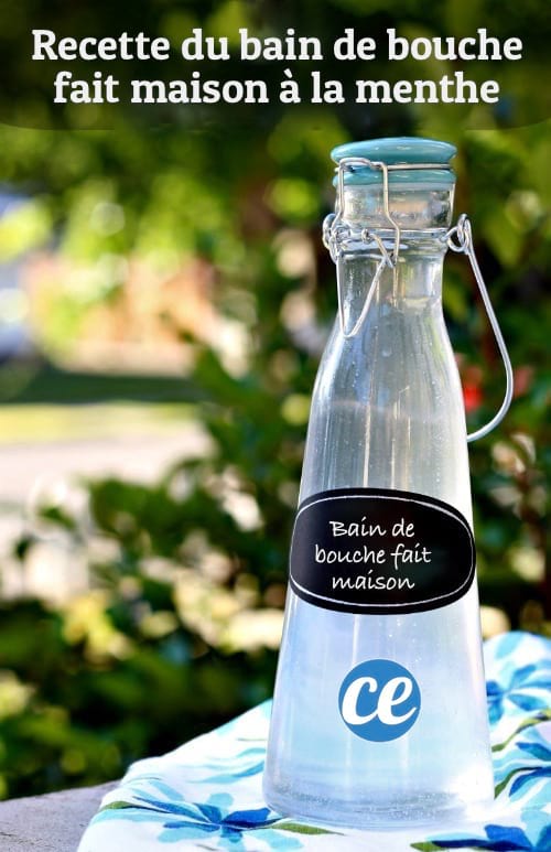 Recette de Bain de Bouche Maison à la menthe